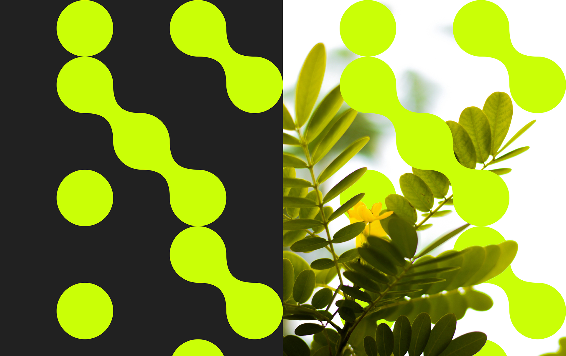 Split image showing the Fusion method: on the left, the fluorescent green dot pattern against black, and on the right, the same dot pattern overlaid on a photograph of green leaves and a small yellow flower.
