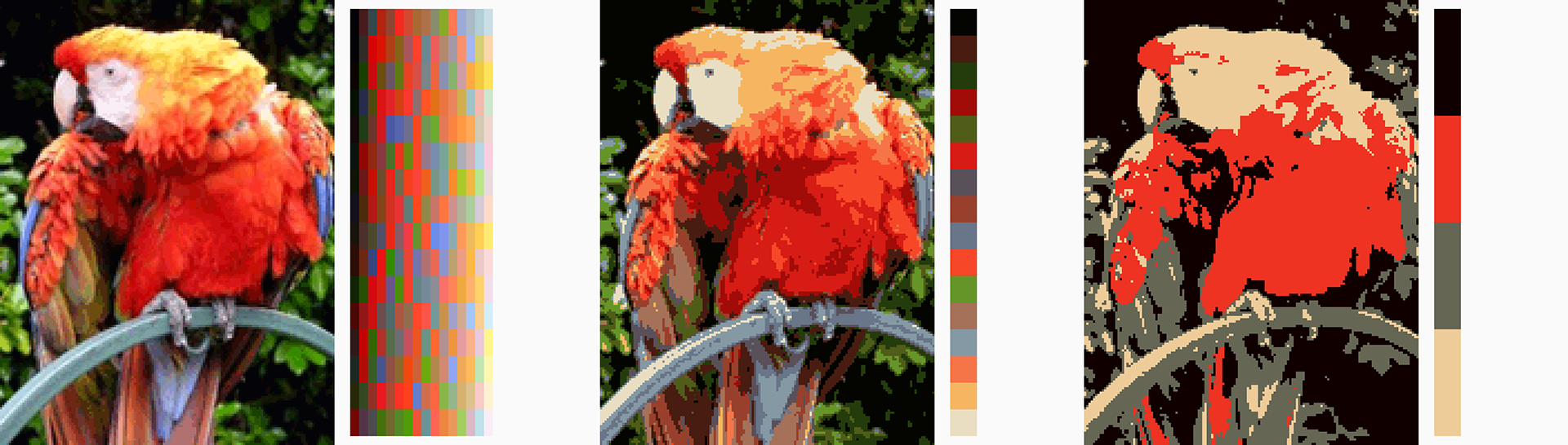 Three-panel comparison of a scarlet macaw photo at decreasing colour depths, each with its colour palette shown alongside: the full-colour original, a mid-range indexed version with a reduced palette, and a heavily indexed version reduced to five colours.